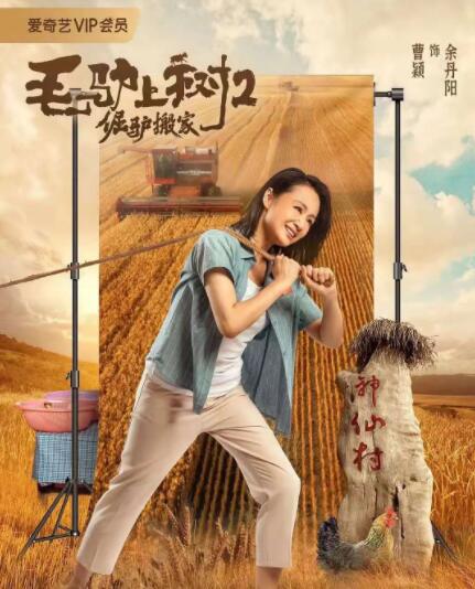 我妹妹的朋友