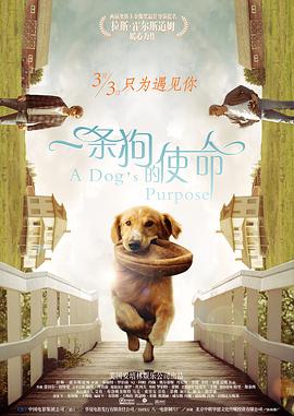 一区二区三区视频免费观看