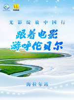 yellow在线观看免费观看大全