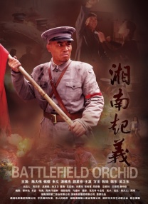 久久午夜宅男免费网站