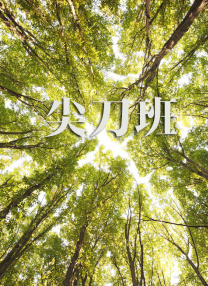 精品在线播放